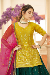 Embroidered Lehenga Choi